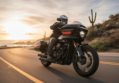 Dinamo Bandid Lifestyle3 Galgo