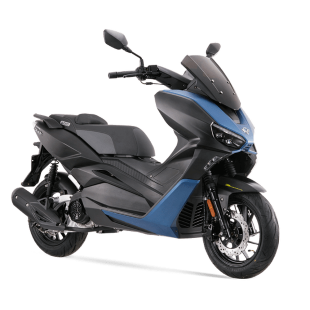 VICTORY Black-PORTADA-Galgo Colombia