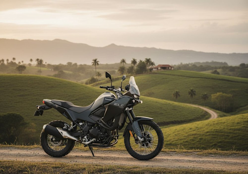 Kawasaki KLE 500 Lifestyle2 Galgo