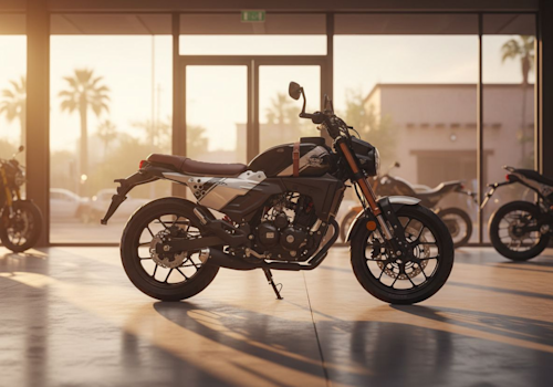 Lifan KPM 250 Lifestyle2 Galgo