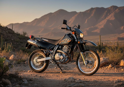 Suzuki DR 650 Lifestyle2 Galgo