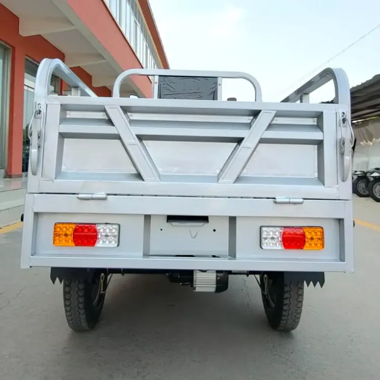 Smart cargo Y19 Migrante