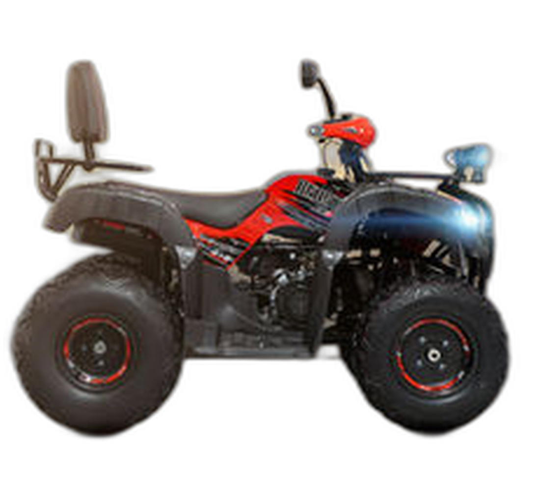 Veloci Beast Galeria1 Galgo