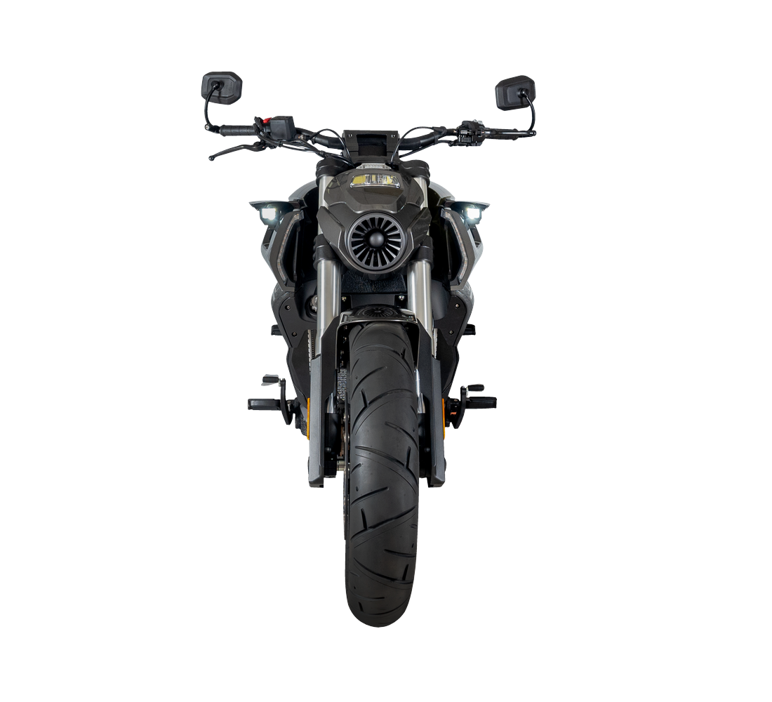 Benda LFC 700 Pro Galeria4 Galgo