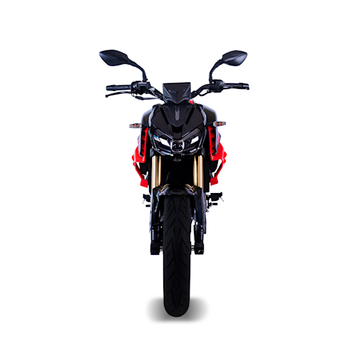 QJ Motor SRK 300 S Galeria6 Galgo