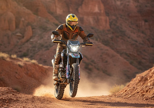 MB Beretta 300 Lifestyle3 Galgo