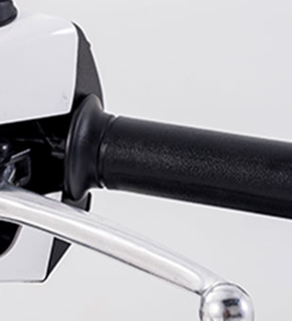 Cruising 125 2024  Galeria 1 | Galgo México