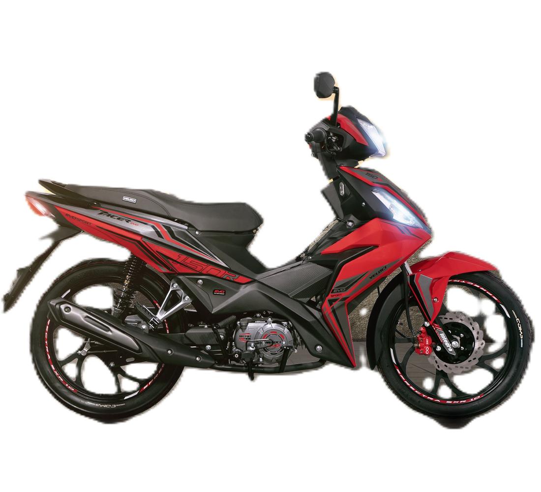 Veloci Pacer Galeria1 Galgo