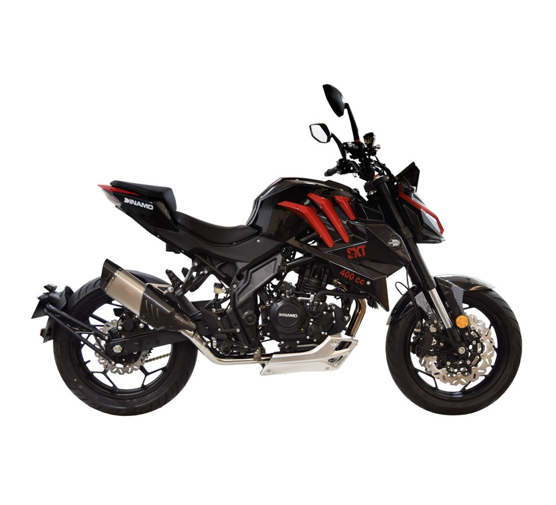 Dinamo Skeleton Galeria2 Galgo México