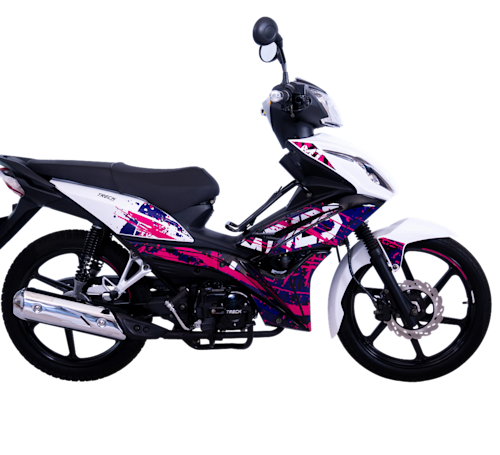 Treck MT 125 Galeria5 Galgo