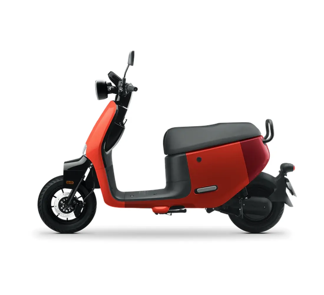 Jego Galeria1 Galgo Chile