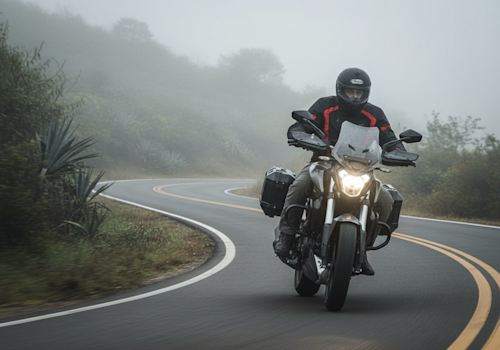 Bajaj Dominar 400 TE Lifestyle3 Galgo