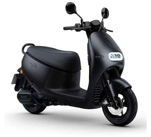 Gogoro Delight Galeria1 Galgo Chile