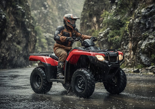 Honda TRX420FM Lifestyle1 Galgo