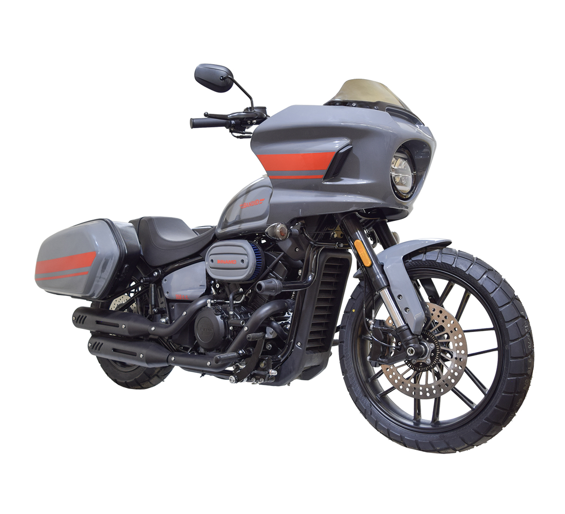 Dinamo Bandid Galeria1 Galgo México