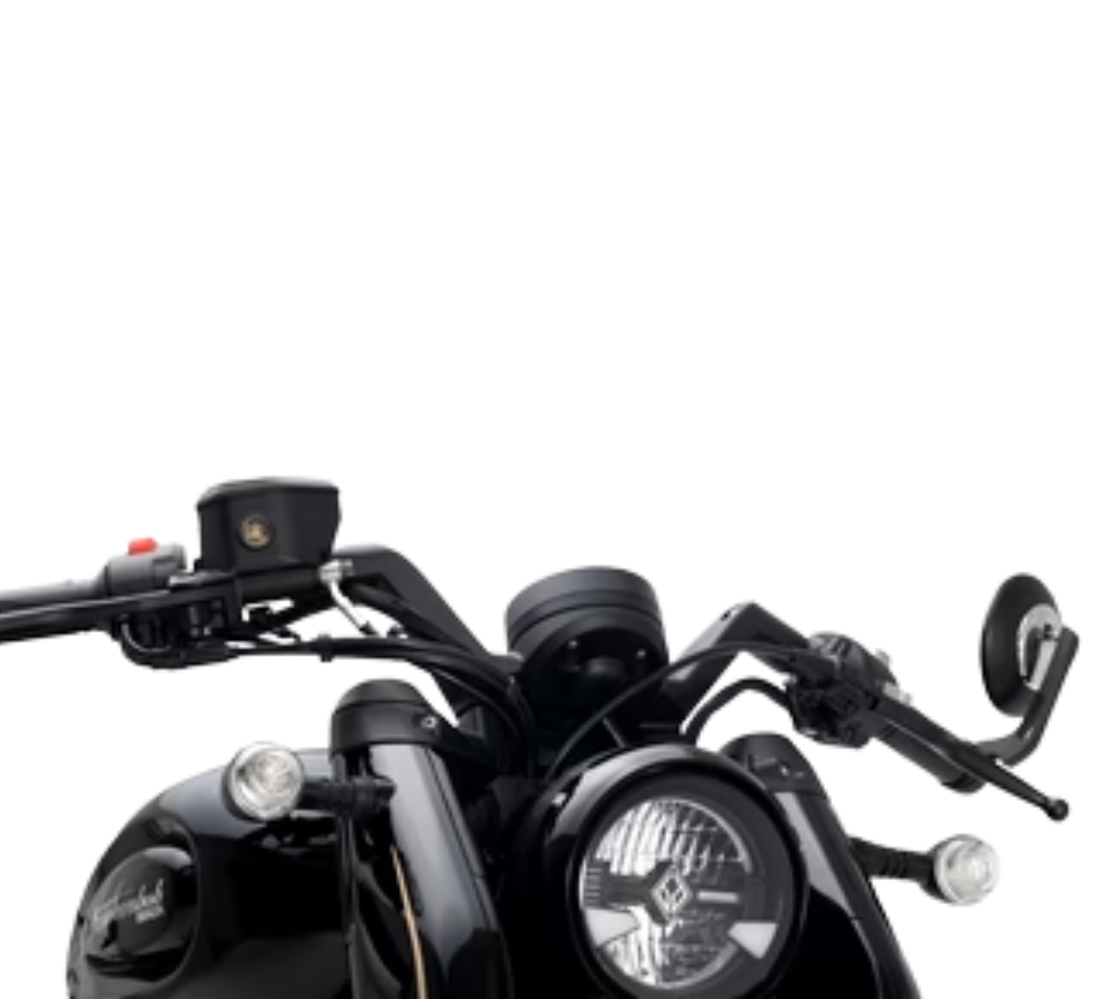 Benda Napoleon Bob 500 Galeria6 Galgo 