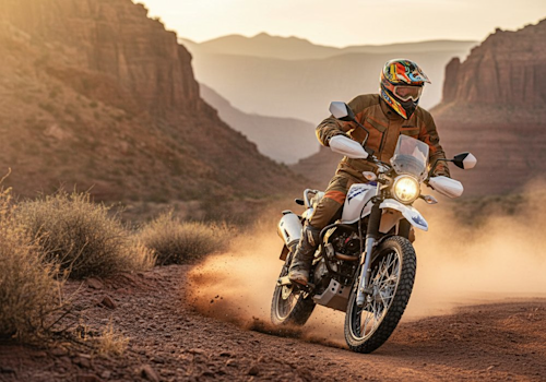 Hero Xpulse 200 FI Lifestyle1 Galgo