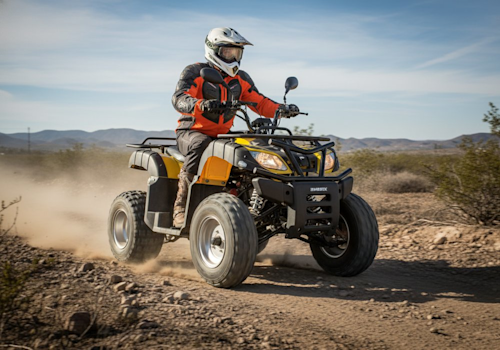 Dinamo Xtreme Rocky Lifestyle1 Galgo