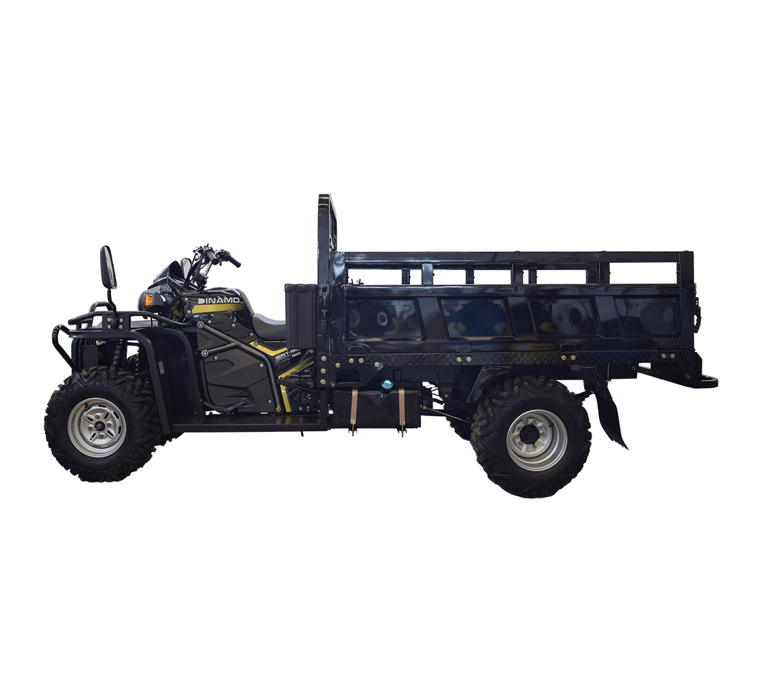 Dinamo Heavy Max Galeria4 Galgo México