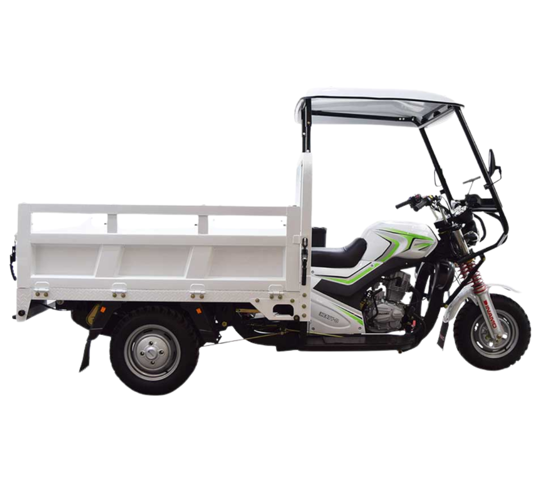 Dinamo Heavy B CAB Galeria2 Galgo México