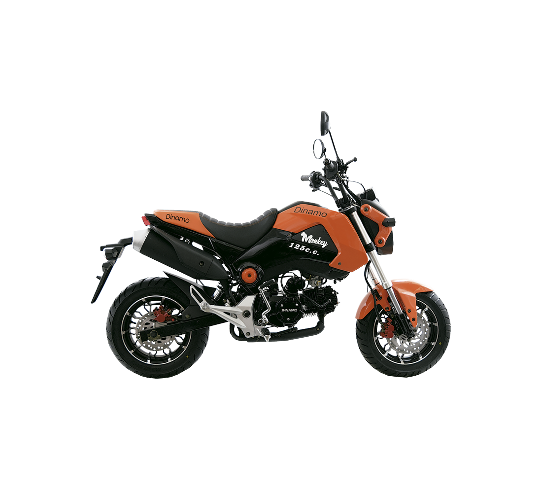 Dinamo Monkey Galeria3 Galgo México