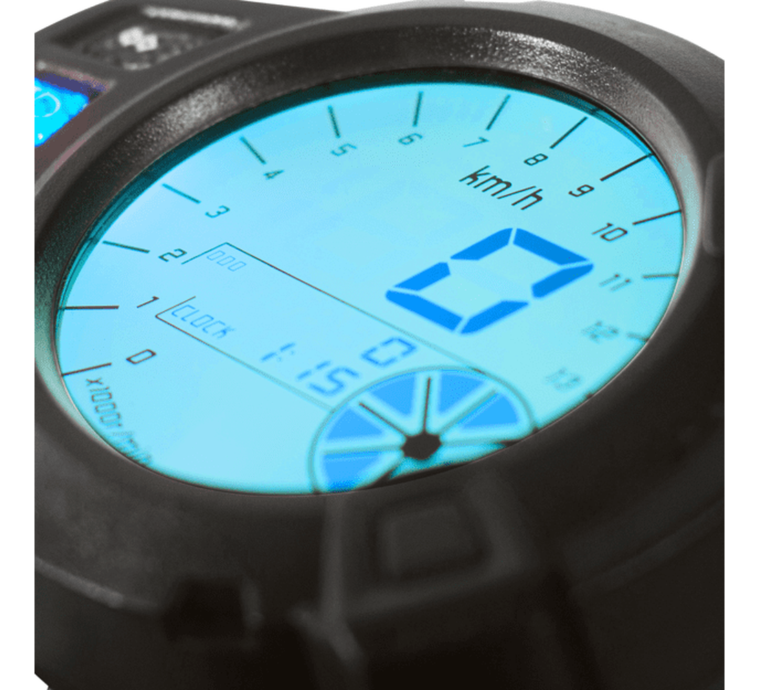 Carabela Islo Rabbit Galeria4 Galgo México