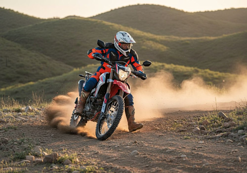 Zmoto 300 Pro Lifestyle1 Galgo