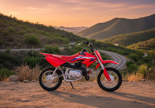 Honda CRF50F Lifestyle2 Galgo