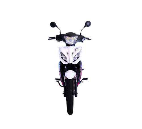 Treck MT 125 Galeria4 Galgo