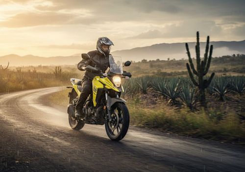 Suzuki V-Strom 250 SX Lifestyle3 Galgo