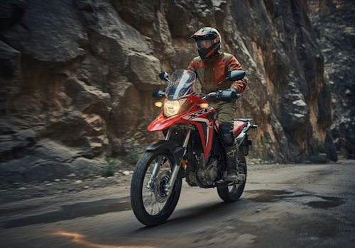 Honda XRE 300 Sahara DLX Lifestyle3 Galgo