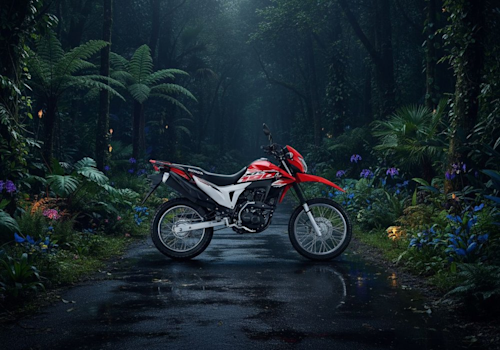 Honda XR 190 L Lifestyle2 Galgo