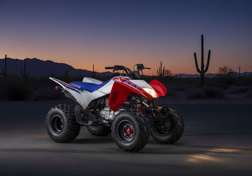 Honda TRX250X Lifestyle2 Galgo