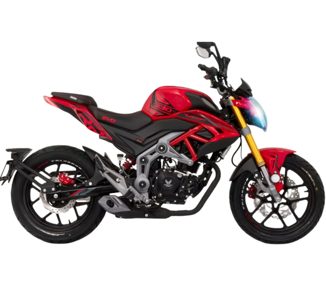 Veloci Razzer 330RR Galeria1 Galgo