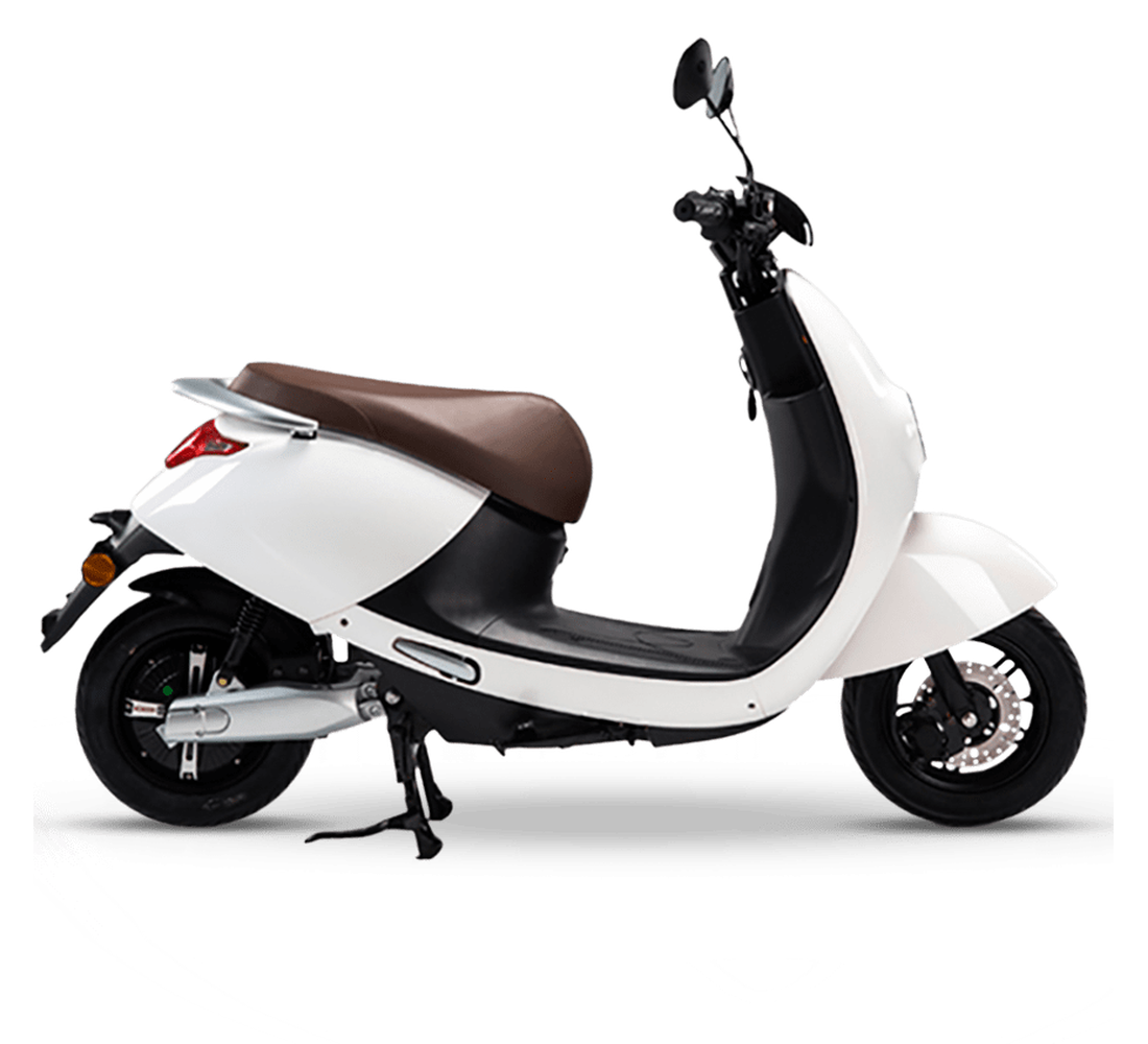 LVN LX 02 Galeria7 Galgo 