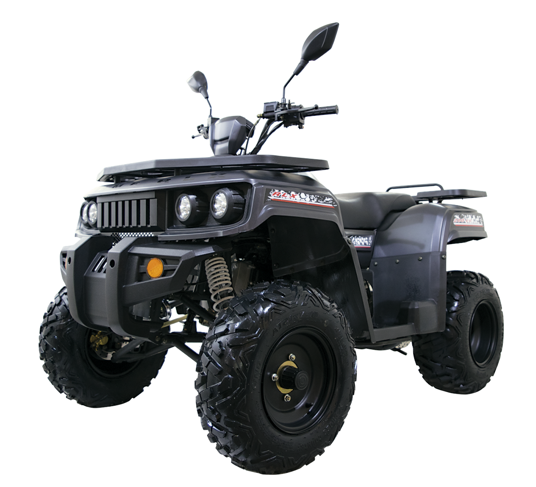 Dinamo Xtreme RLX Galeria2 Galgo México