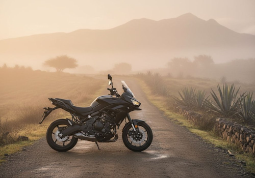 Kawasaki Versys 650 ABS Lifestyle2 Galgo