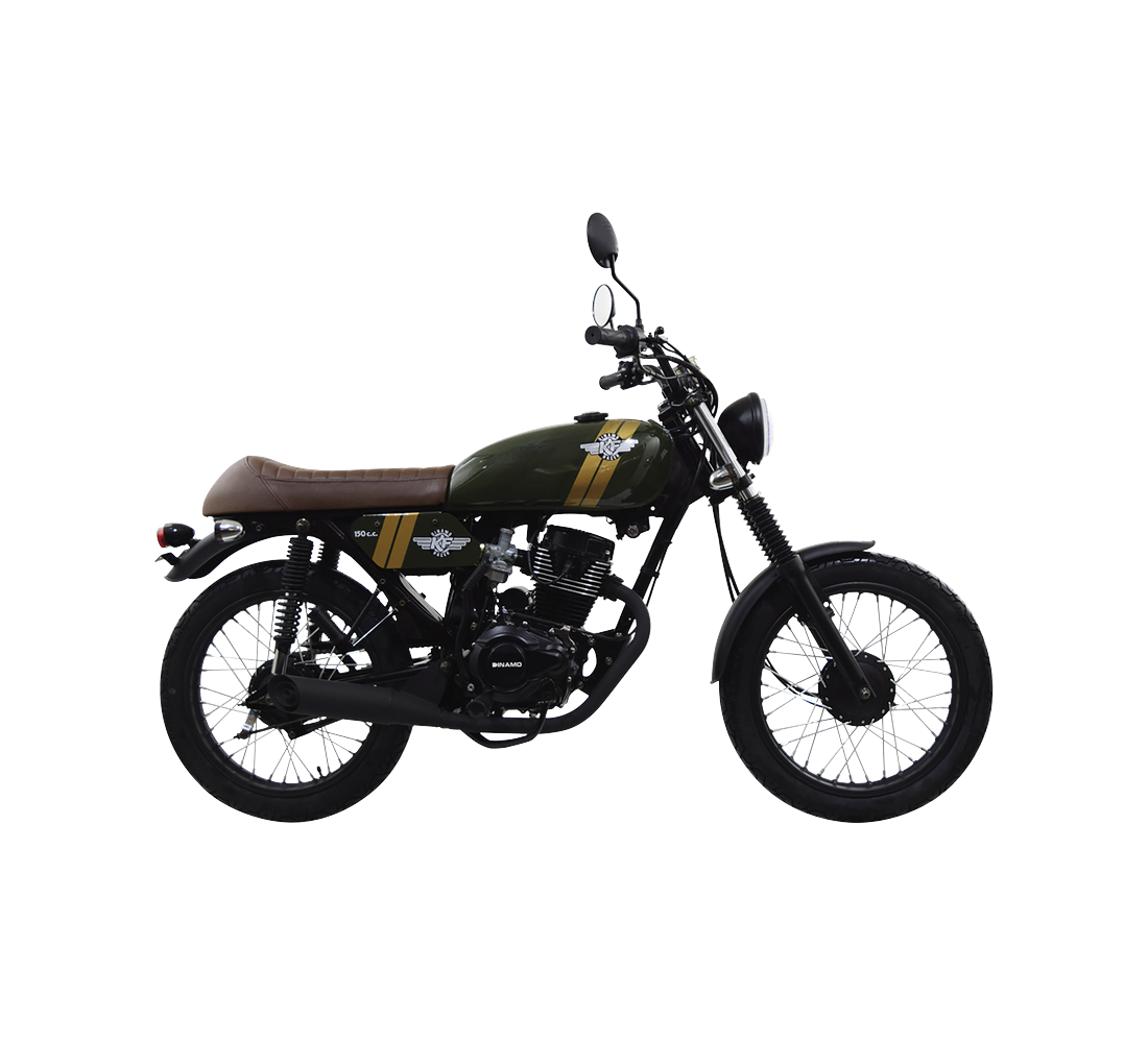 Dinamo KF Racer Galeria6 Galgo México