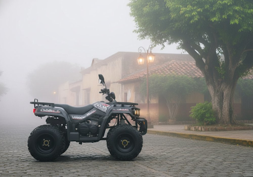 Dinamo Xtreme RLX Lifestyle2 Galgo