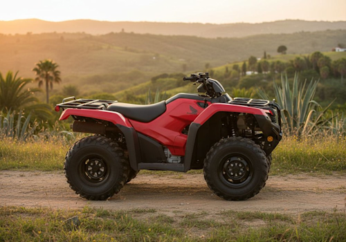Honda TRX420FE Lifestyle2 Galgo