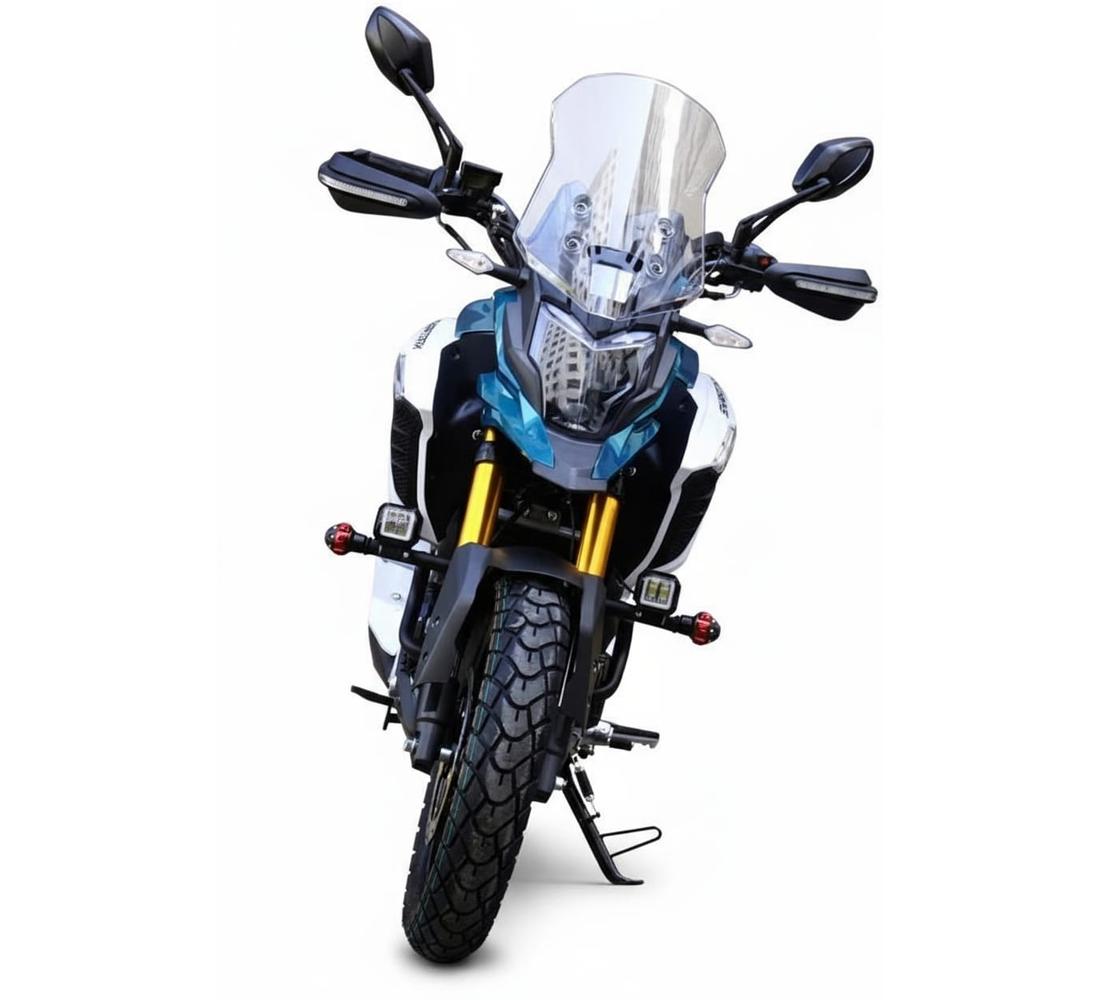 Sharmax GL 301 Galeria3 Galgo