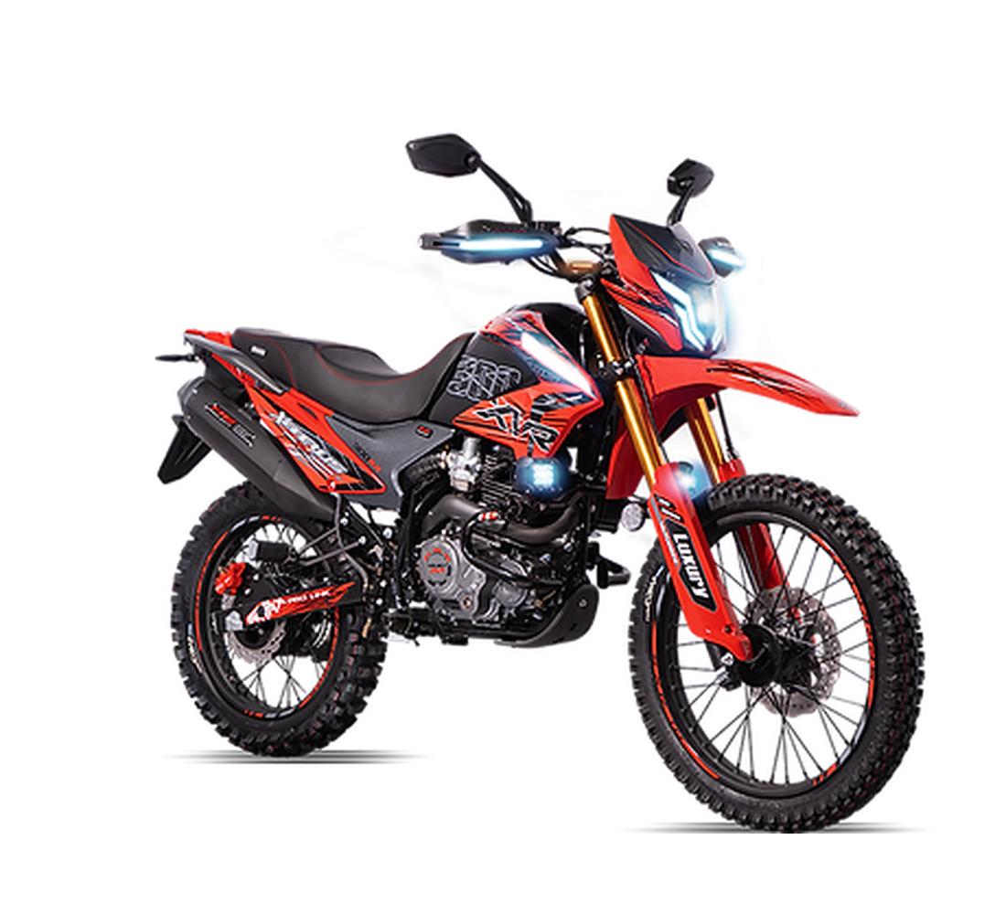 Veloci Xeverus Imagen principal Galgo