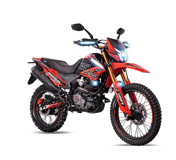 Veloci Xeverus Imagen principal Galgo