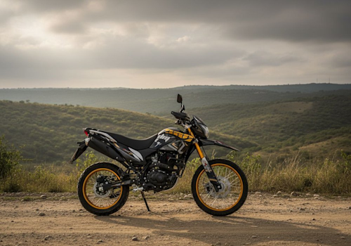 Italika DM 300 Lifestyle2 Galgo