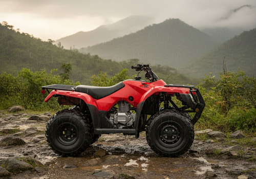 Honda TRX250TM Lifestyle2 Galgo