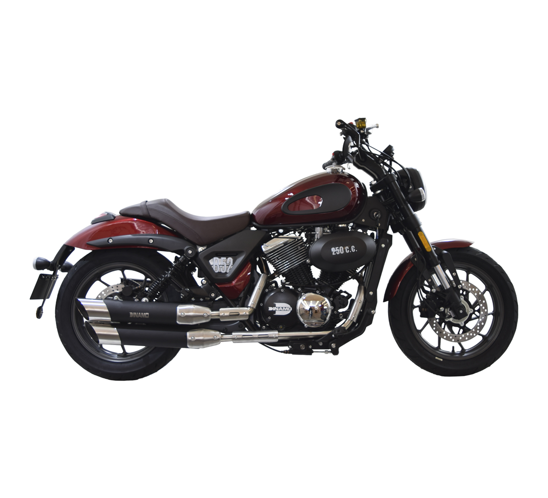 Dinamo B-52 Galeria8 Galgo México