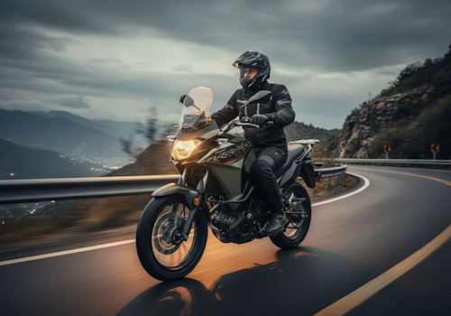 Kawasaki Versys -X 300 ABS Touring Lifestyle3 Galgo