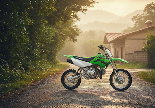 Kawasaki KLX 110R L Lifestyle2 Galgo