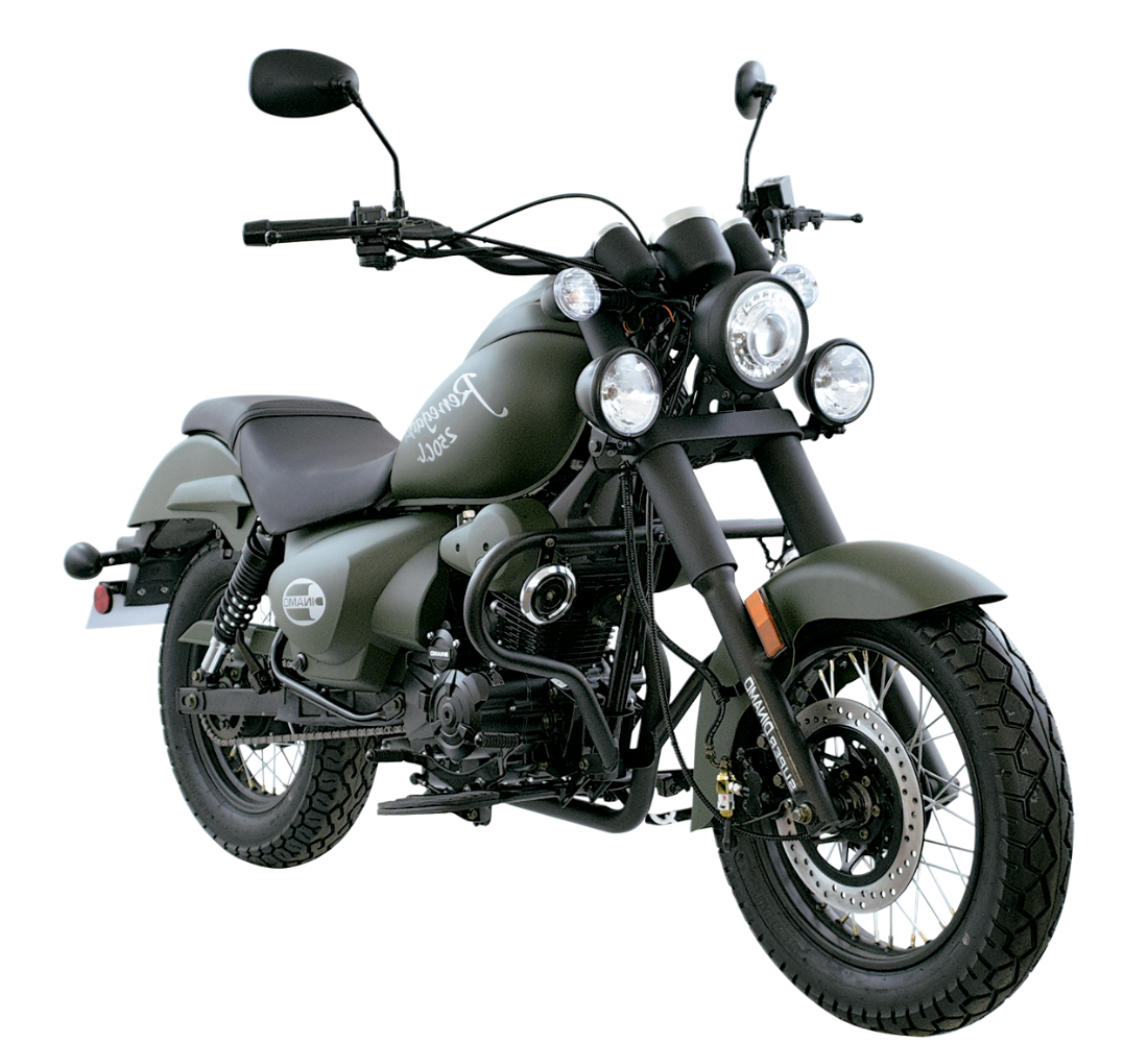 Dinamo Renegada 250 Imagen principal Galgo México