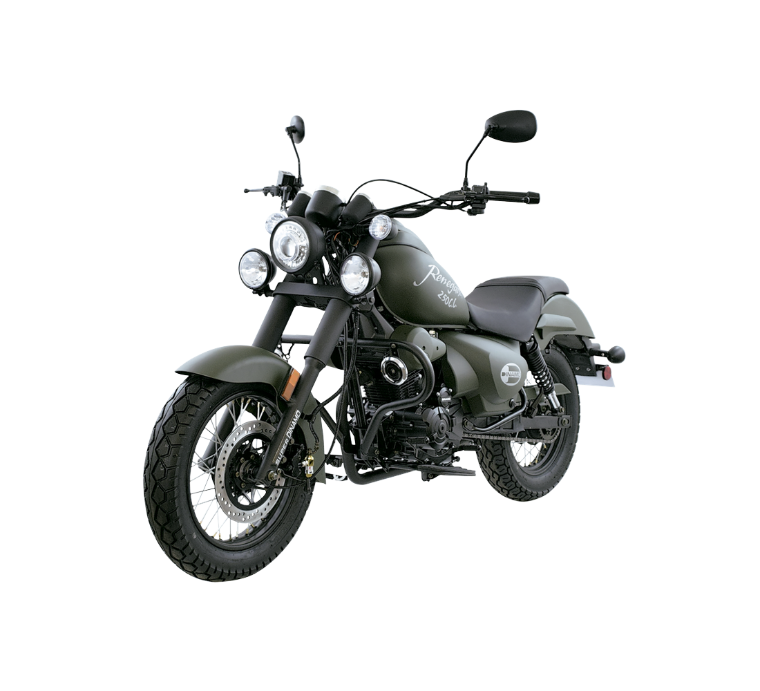 Dinamo Renegada 250 Galeria1 Galgo México